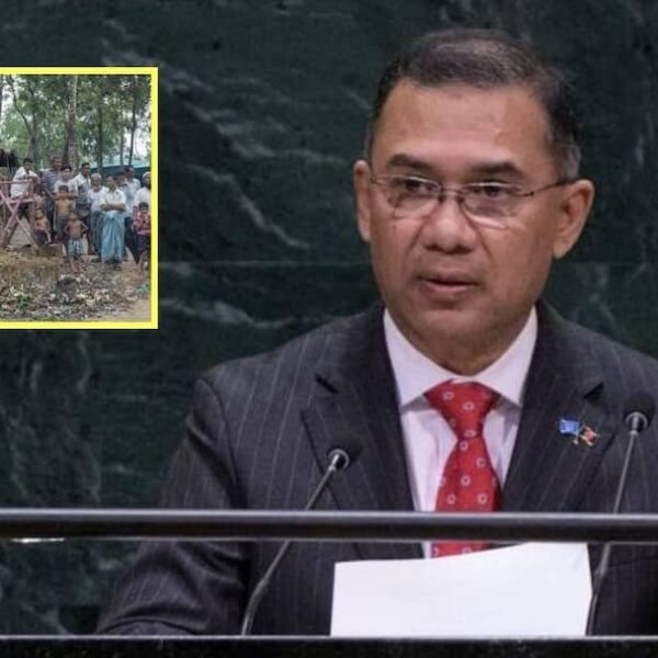 ‘रोहिंग्या को जल्द भेजे जाएं वापस, तभी…’, UNGA…