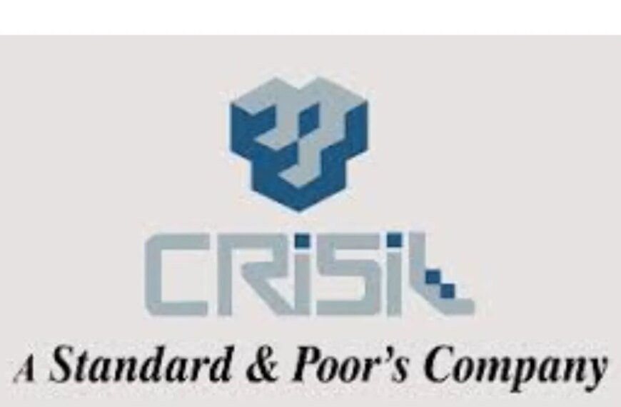 Auto Sector पर CRISIL की अच्छी वाली रिपोर्ट, PVs में बनेगा रिकार्ड, EVs में होगा क्या?