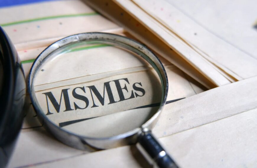 Steel Sector की MSMEs को लेकर क्या कहा इस्पात सचिव ने