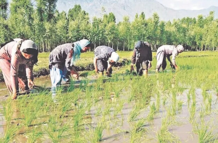 सामान्य से अधिक बारिश का मतलब कम महंगाई नहीं