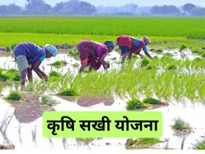 यूपी में महिलाएं बनेंगी ‘कृषि सखी’, मिलेगी ट्रेनिंग,&hellip;