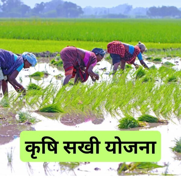 यूपी में महिलाएं बनेंगी ‘कृषि सखी’, मिलेगी ट्रेनिंग,&hellip;