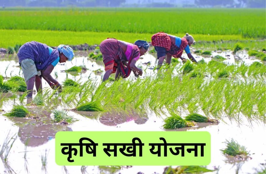 यूपी में महिलाएं बनेंगी ‘कृषि सखी’, मिलेगी ट्रेनिंग, मानदेय होगा 5,000 रुपये