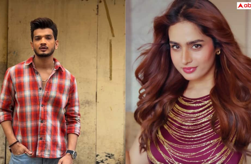 आयशा खान से मुनव्वर फारूकी का नाम लेकर फैन ने किया मजाक, भाई शाहबाज ने स्टेज से उतारा