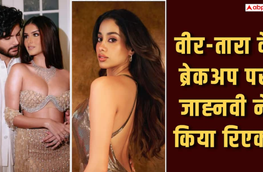 ‘कॉन्सर्ट मत लेकर जाना’, जाह्नवी कपूर ने वीर पहाड़िया को दी डेटिंग एडवाइज, तारा संग ब्रेकअप का दिया हिंट