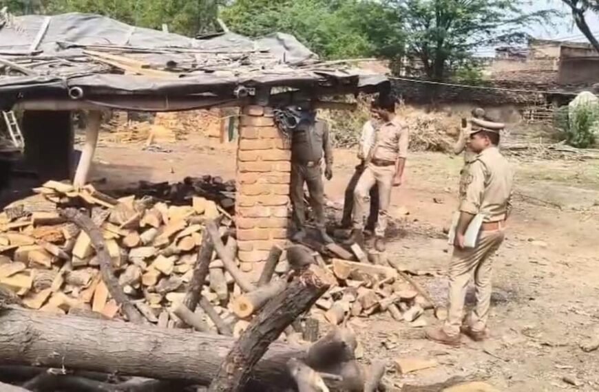 महोबा में अवैध लकड़ी के कारोबार के खिलाफ एक्शन, मचा हड़कंप