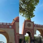 जामिया में कैसे मिलता है एडमिशन, कम से कम कितने नंबर आना जरूरी?